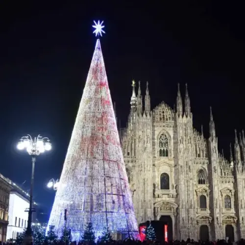 Árbol de Navidad gigante para exterior