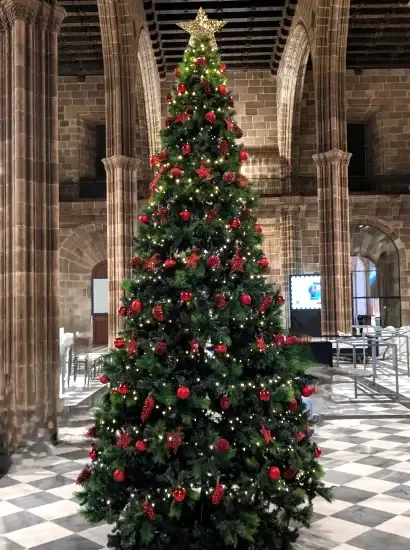 Alquiler de árboles de Navidad para eventos