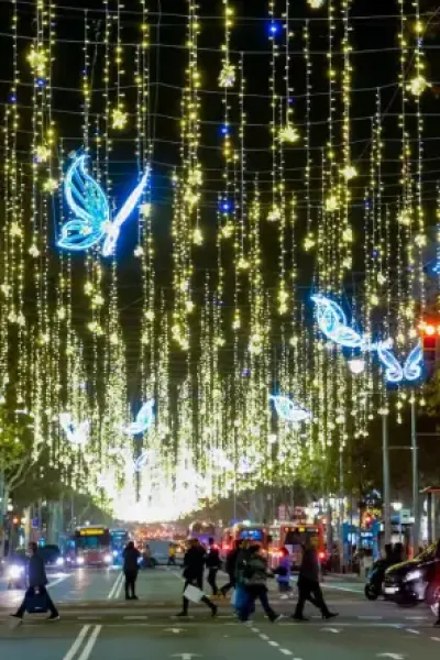 Alquiler luces de Navidad mariposas