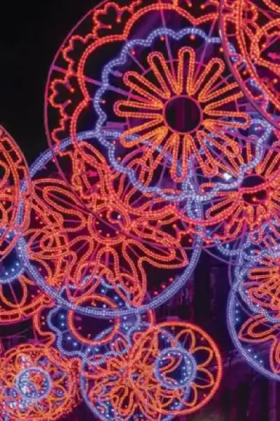 Alquiler luces de Navidad círculos