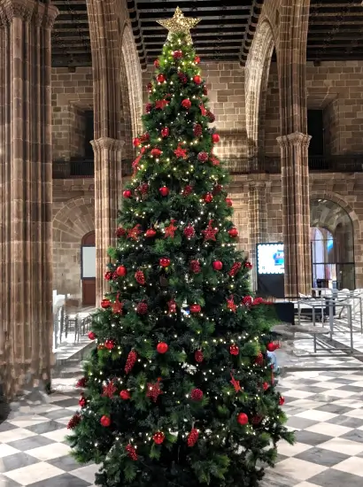Alquiler de árboles de Navidad para eventos