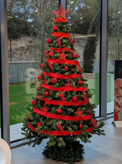 Alquiler de árboles de Navidad
